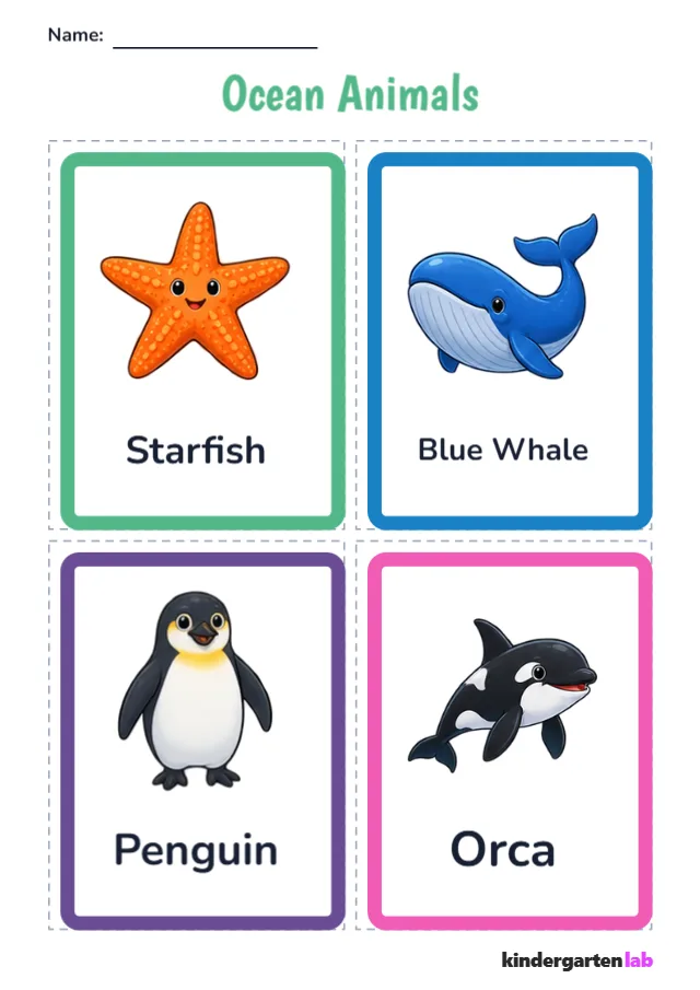 Flashcards: Starfish, Blue Whale, Penguin