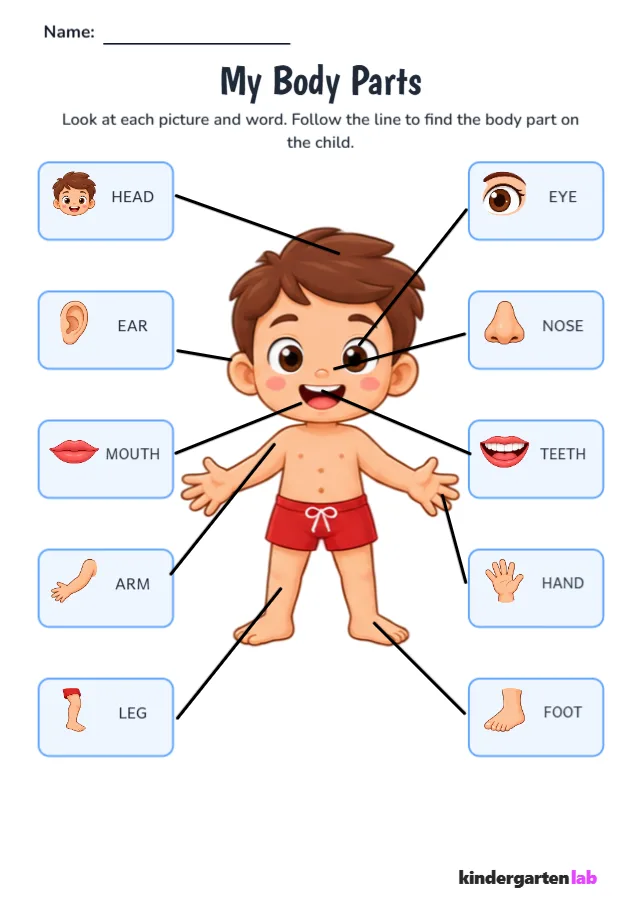 My Body Parts